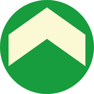 Glow in the Dark Arrows (pack of 10)