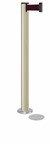 Standing Beltrac Stanchions