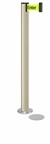 Standing Beltrac Stanchions