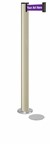 Standing Beltrac Stanchions