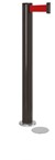 Standing Beltrac Stanchions