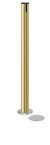 Standing Beltrac Stanchions