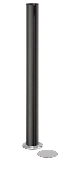 Standing Beltrac Stanchions