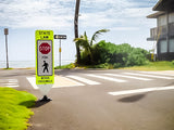 In-Street Pedestrian or Yield Crosswalk Sign